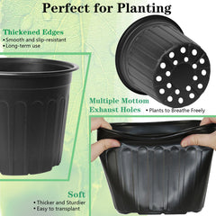 Niiiice pots in use with seedlings demonstrating healthy spacing