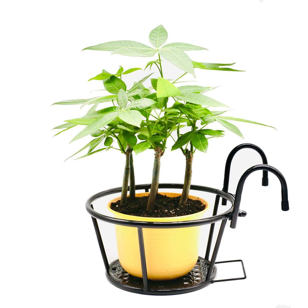 NILICAN lifestyle balcony scene with plants showing space-saving decorative benefit
