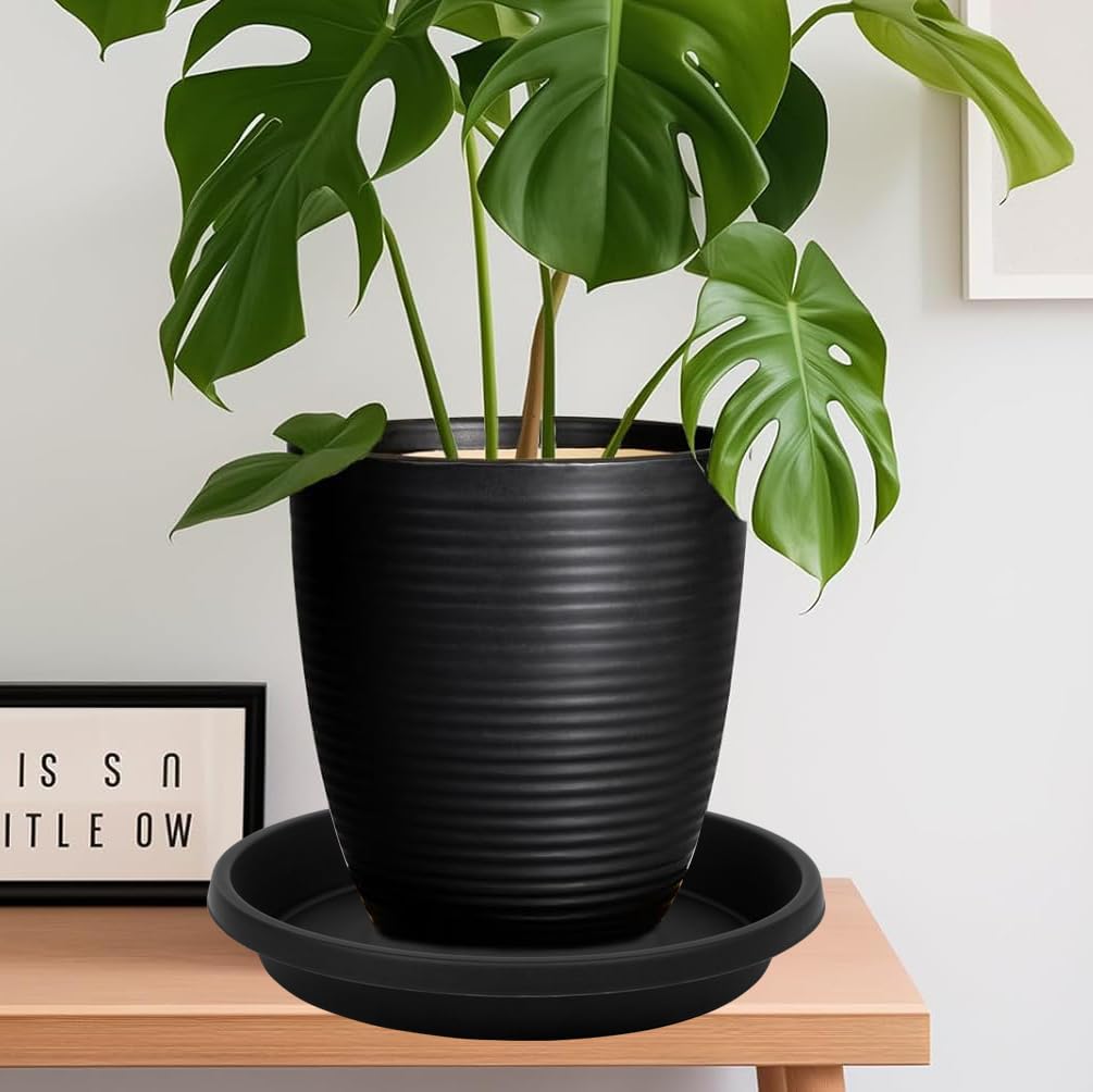NIMYAU empty saucer displaying wide basin for soil and water collection
