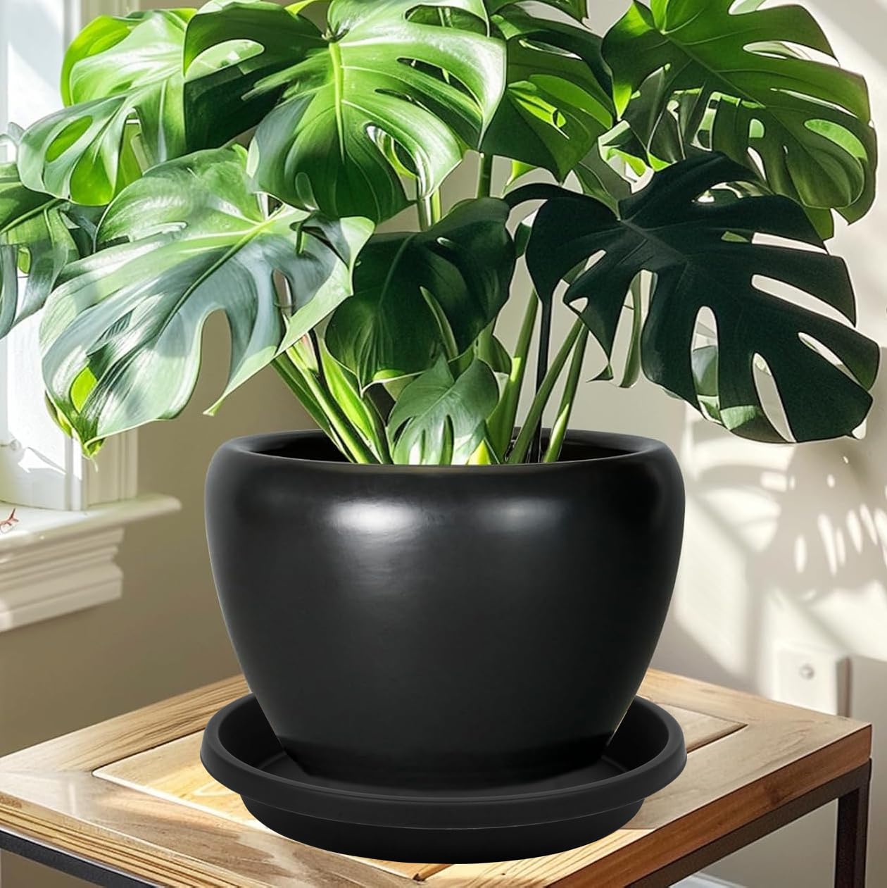 NIMYAU saucer beneath indoor pot shielding hardwood floors