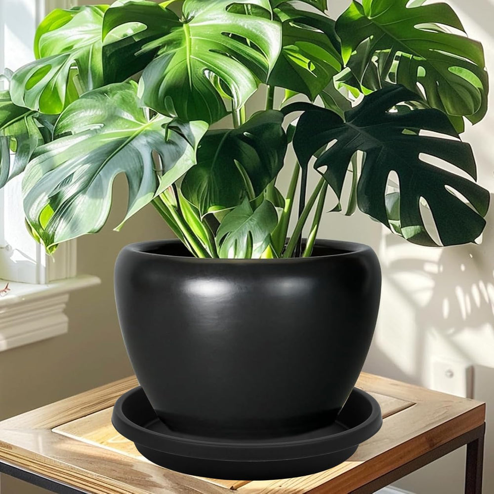 NIMYAU saucer beneath indoor pot shielding hardwood floors
