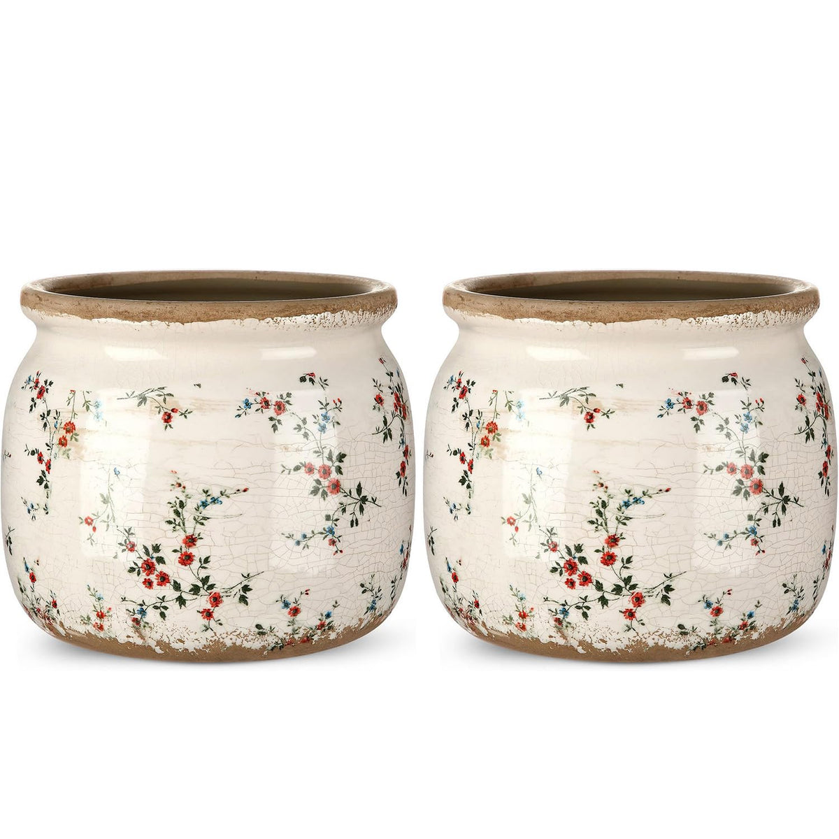 Ninehaoou front view of two vintage planters showing decorative scroll pattern and color benefits