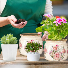 Ninehaoou planter with succulent in use demonstrating decorative plant display