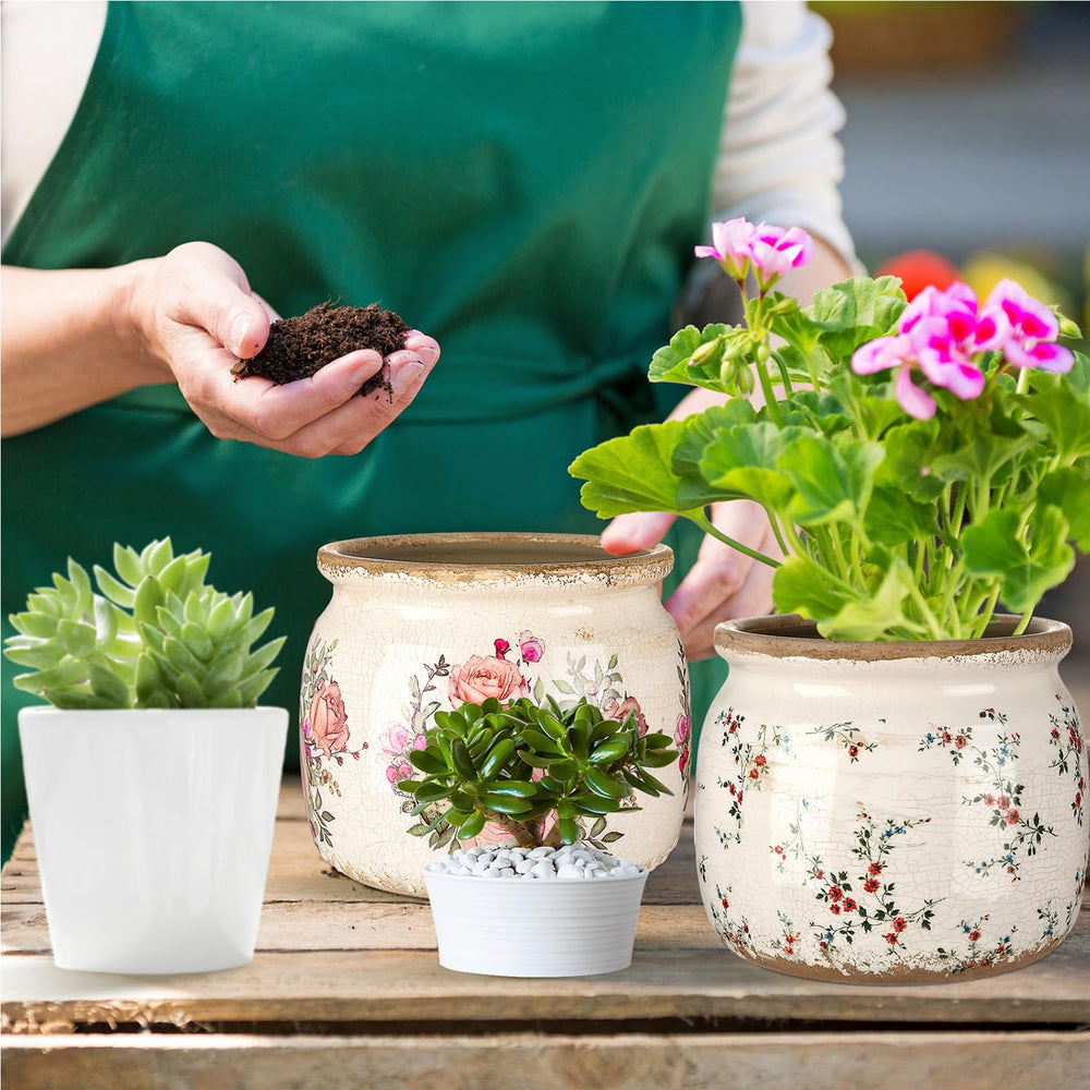 Ninehaoou planter with succulent on windowsill adding greenery and light