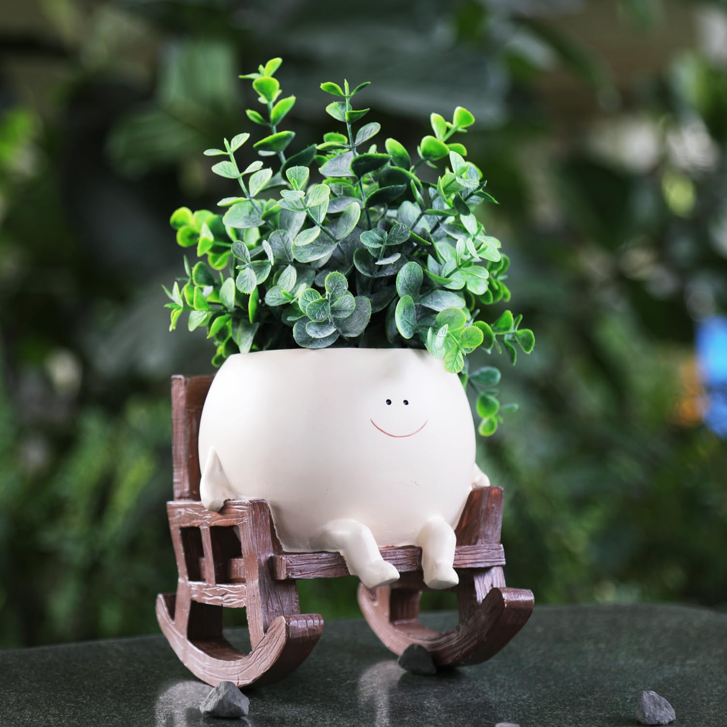 NINIPAPA planter with succulent planted, highlights easy styling benefit