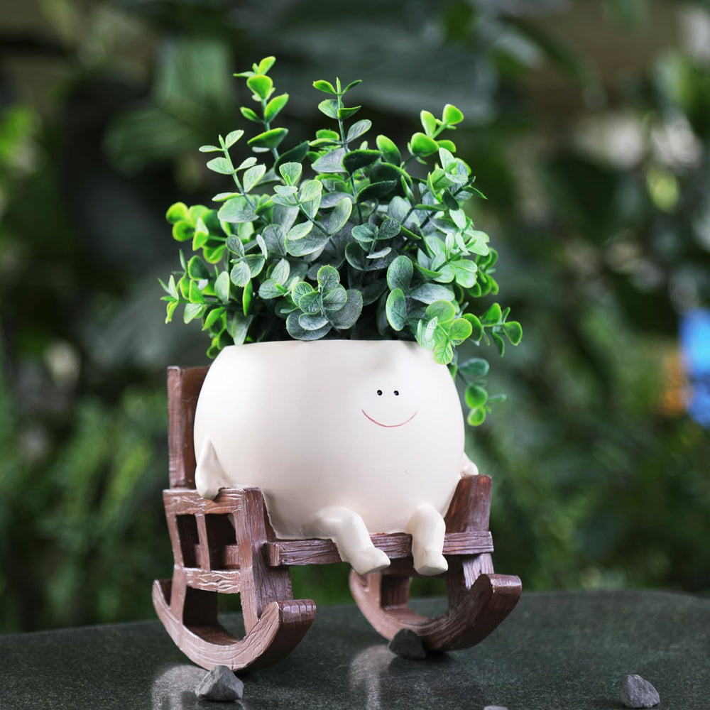 NINIPAPA planter with succulent planted, highlights easy styling benefit