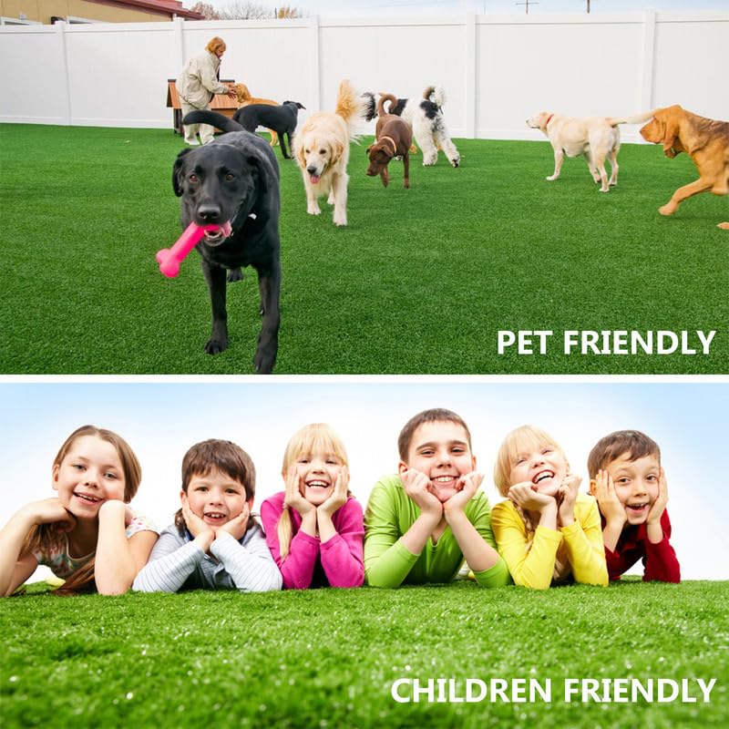NINXANG pet sitting on turf illustrating pet-friendly surface and easy cleaning