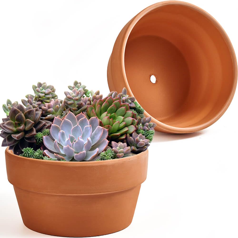 NiSevenLiving front view of two 8-inch terracotta pots showing neutral style and versatility