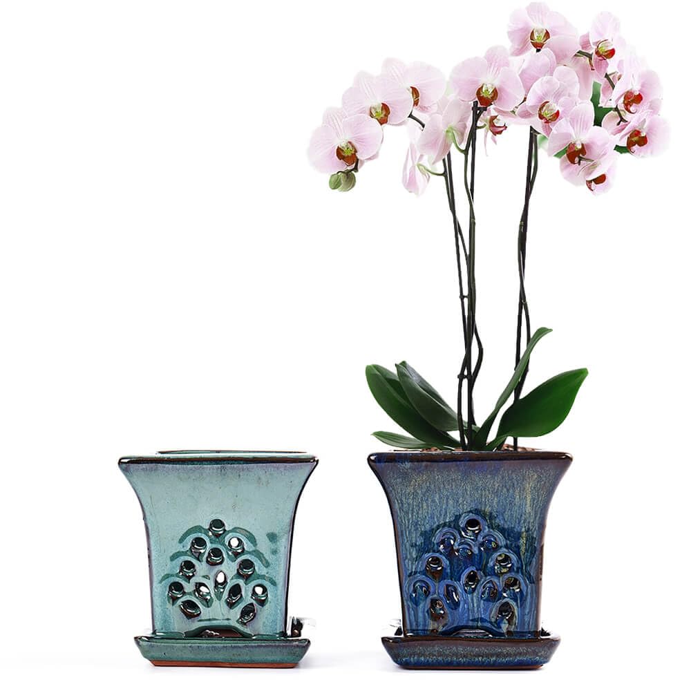 NiSevenLiving front view of blue and green pot pair showing decor appeal
