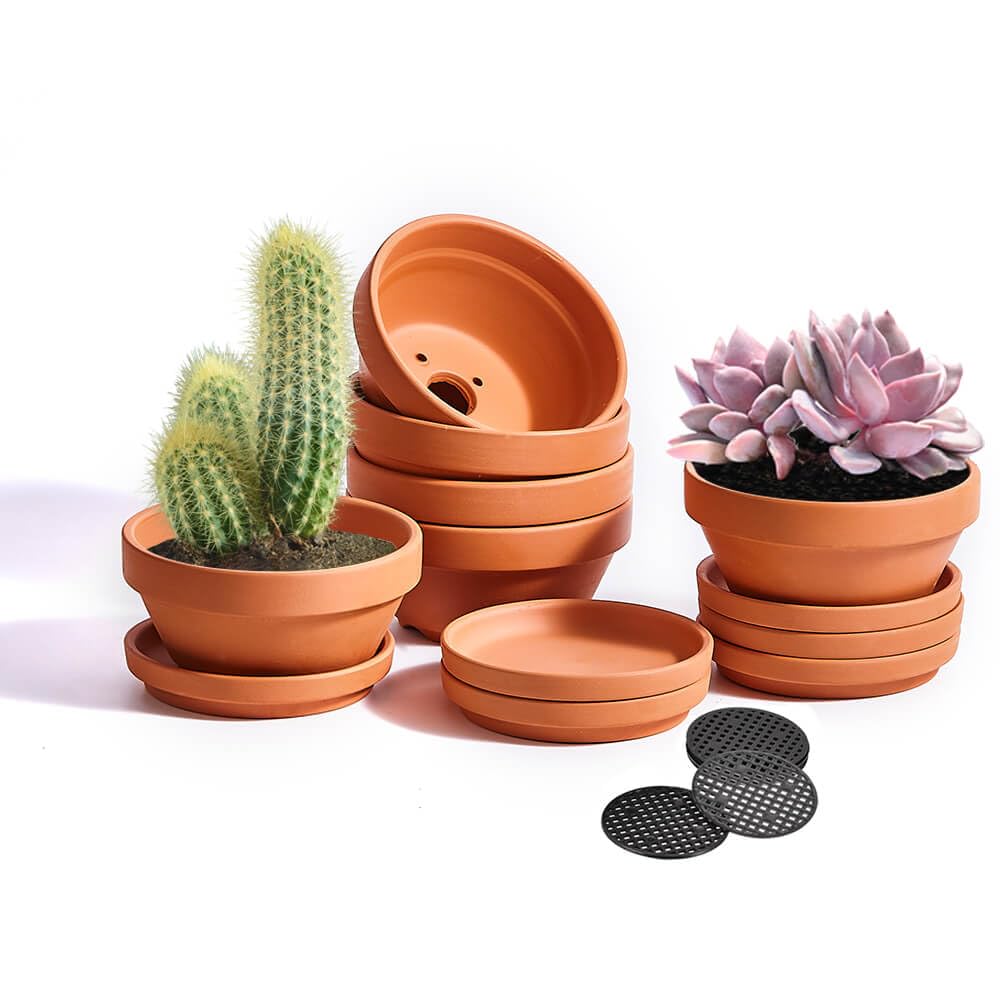 NiSevenLiving terracotta front view showing six pots and neat saucers for tidy displays