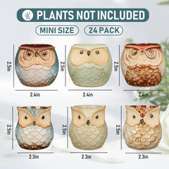 Nitial owl pot close-up showing glaze texture and durable ceramic finish benefit