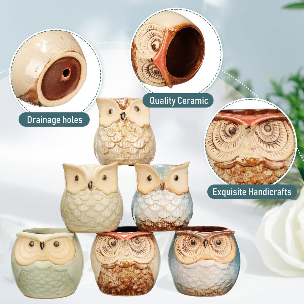 Nitial owl planter drainage hole detail preventing overwatering and aiding plant health