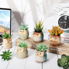 Nitial owl pot with succulent on windowsill adding greenery to small spaces
