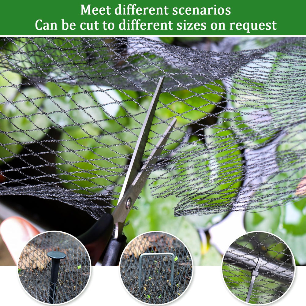 Niuyhe backyard orchard scene illustrating protected crops
