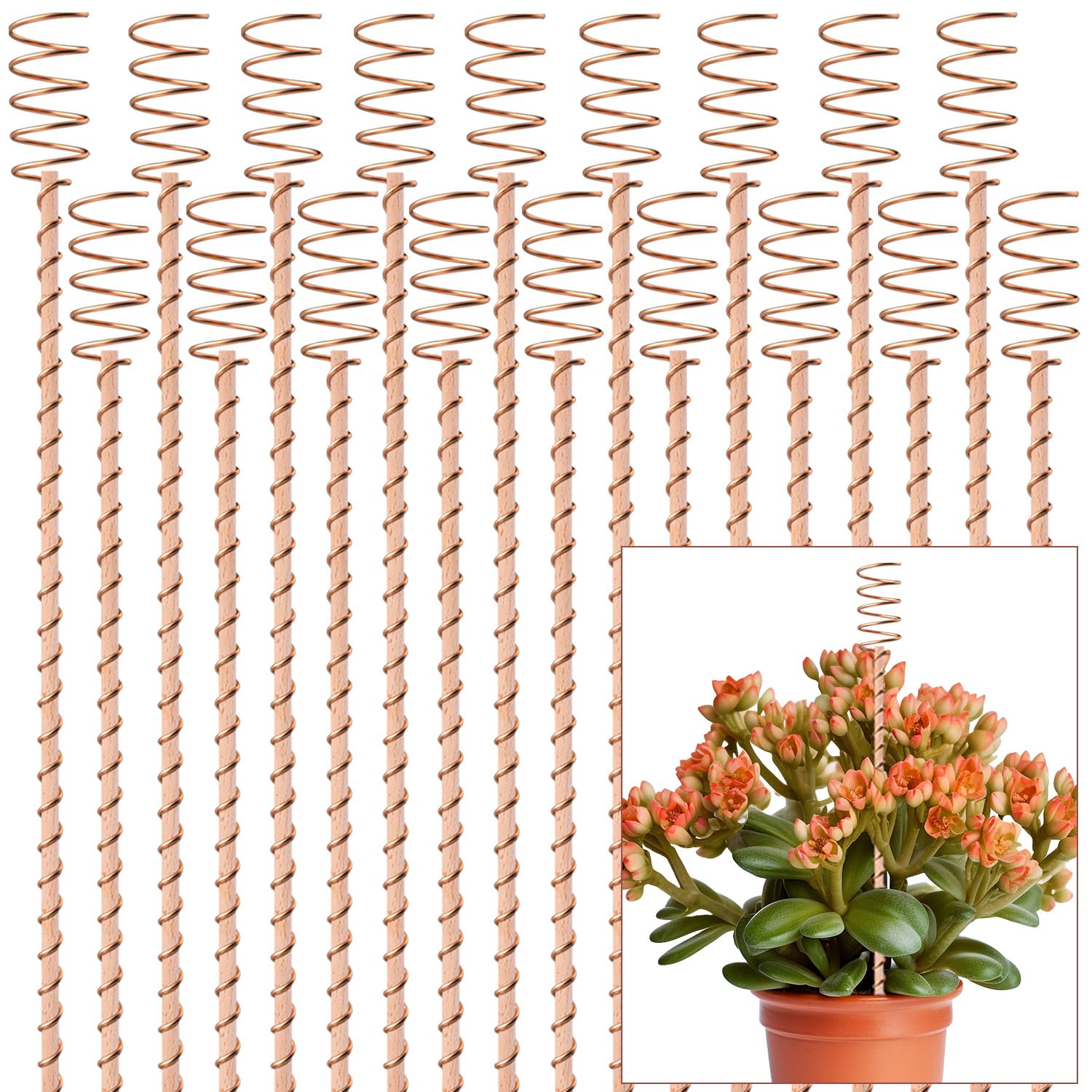 NizHome front packaging showing 18 copper electroculture stakes and benefits
