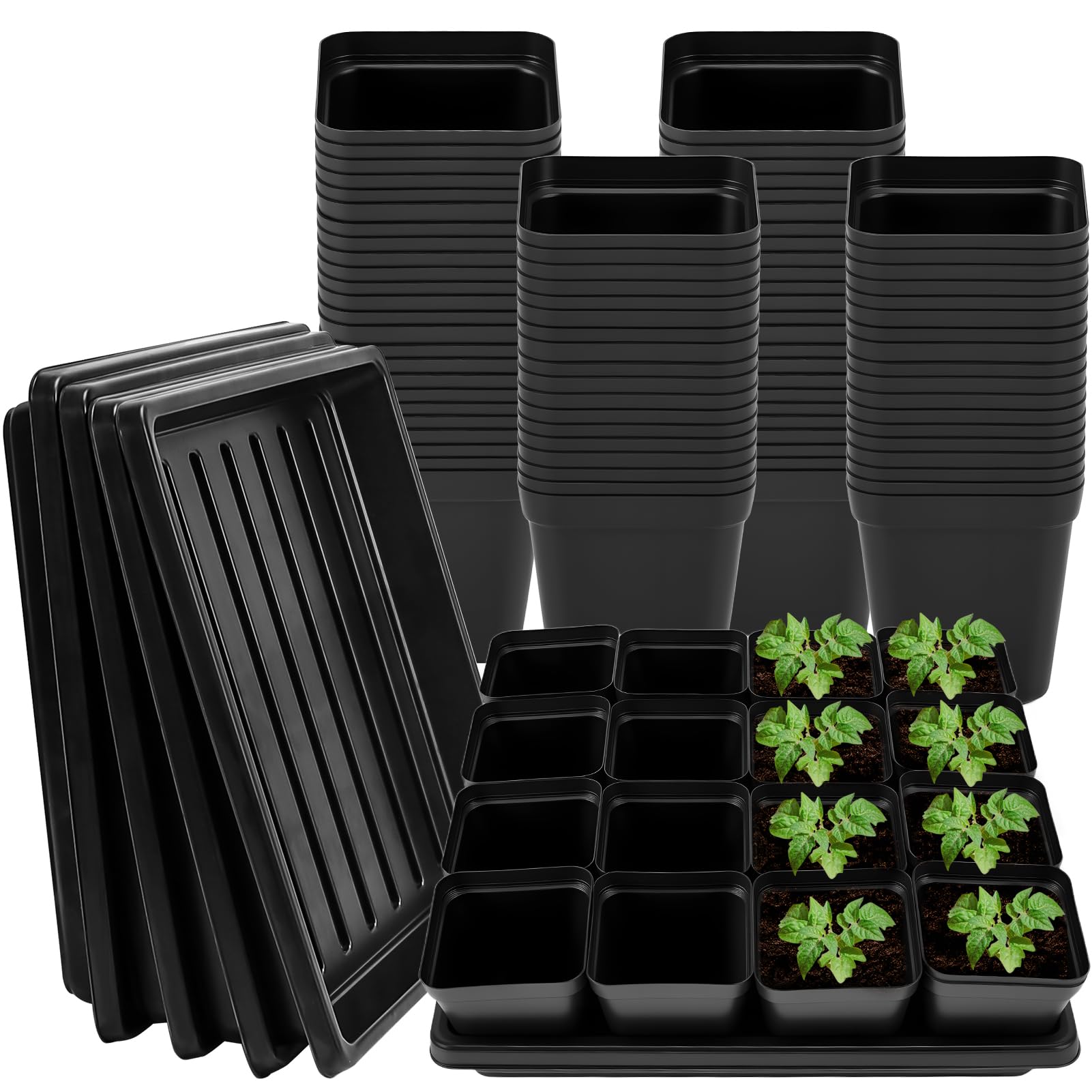 NNG front packaging showing full 100-pot and 5-tray bundle and clear contents