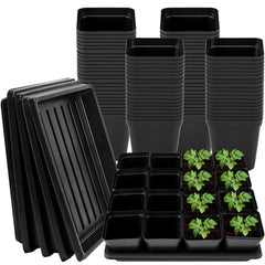 NNG front packaging showing full 100-pot and 5-tray bundle and clear contents