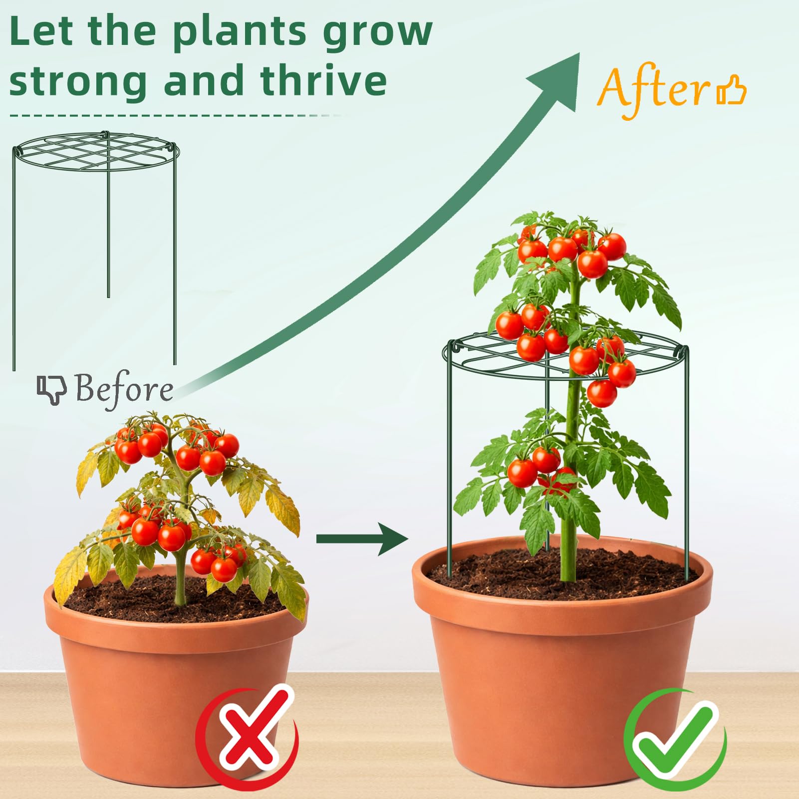 NNG lifestyle image of cages in a border creating neat, upright flowering plants