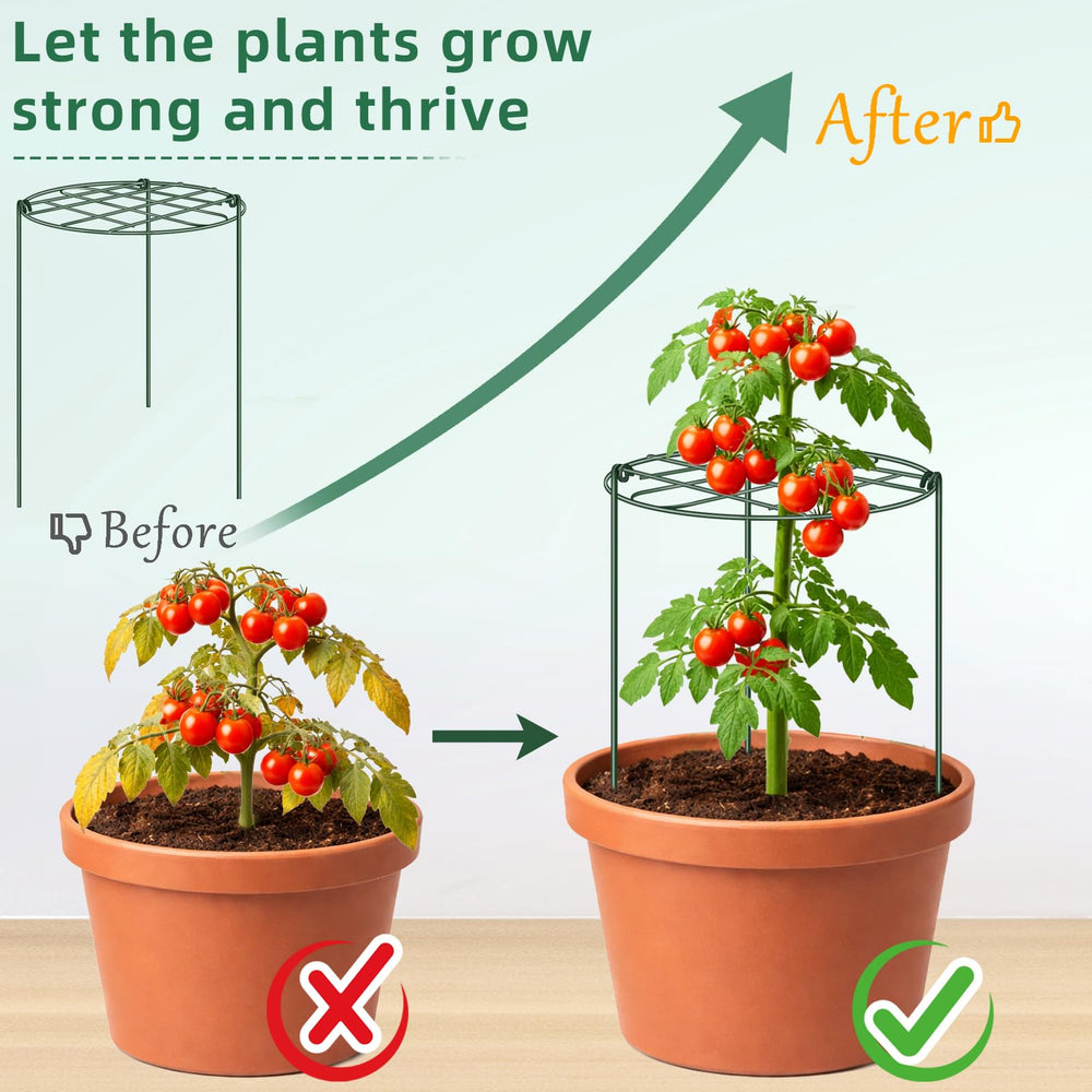 NNG lifestyle image of cages in a border creating neat, upright flowering plants