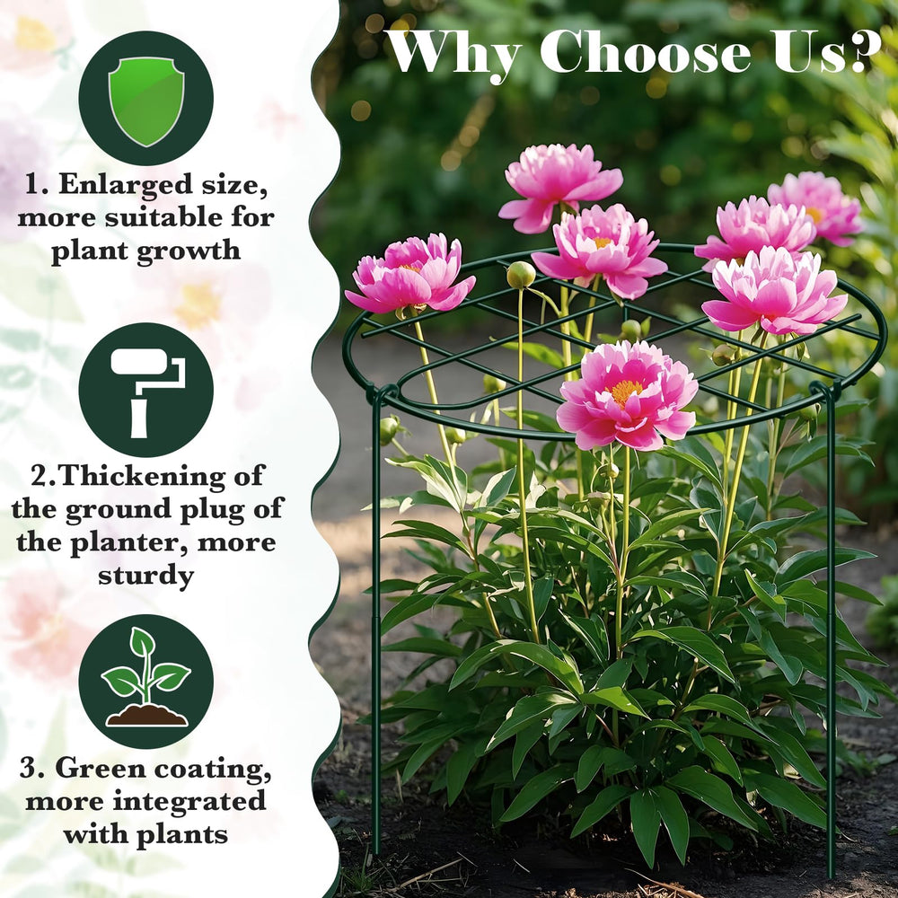 NNG peony cage in flower bed holding blooms upright for healthier-looking plants