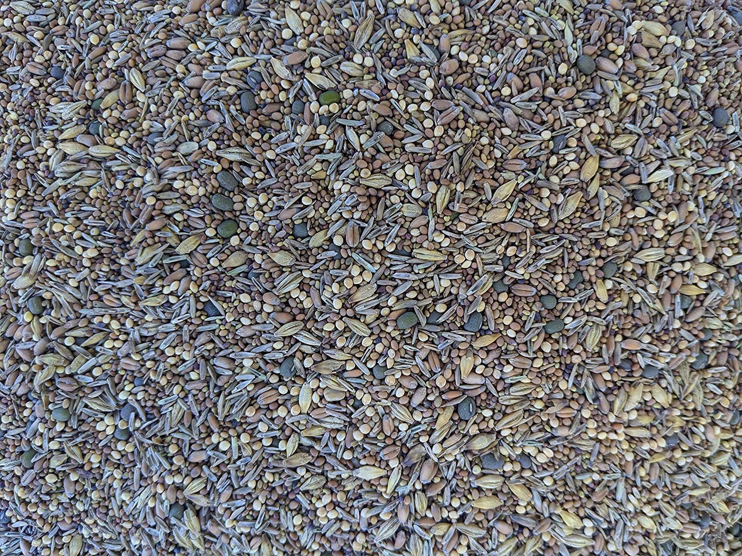 No-Till Solutions close-up of mixed seeds showing texture and variety benefits