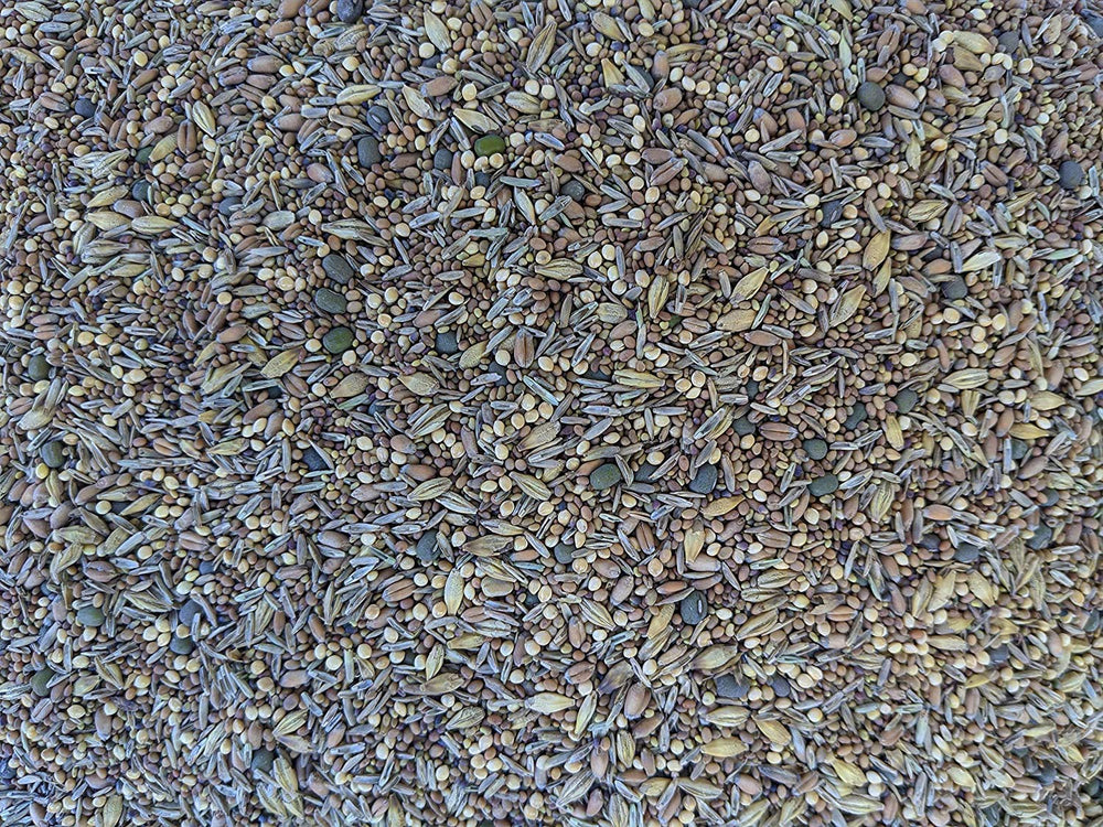 No-Till Solutions close-up of mixed seeds showing texture and variety benefits