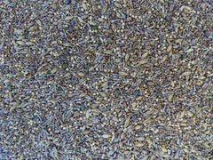 No-Till Solutions close-up of mixed seeds showing texture and variety benefits