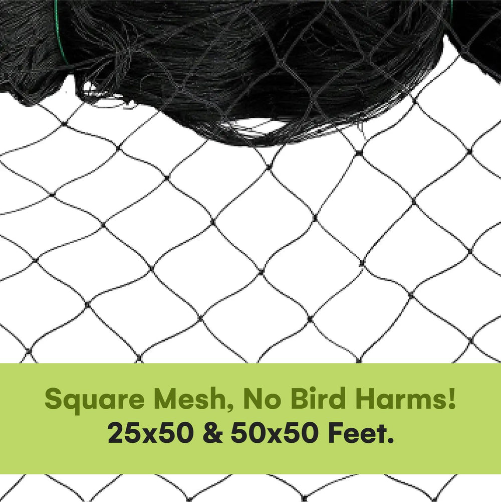 Noa Store mesh covering chicken run providing predator protection and airflow