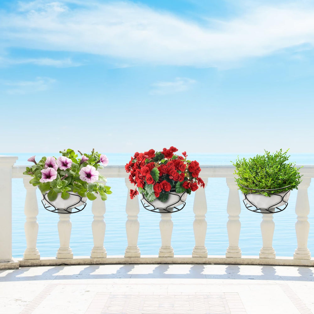 Noamus dimensions shown with scale to confirm fit and help choose the right pot size