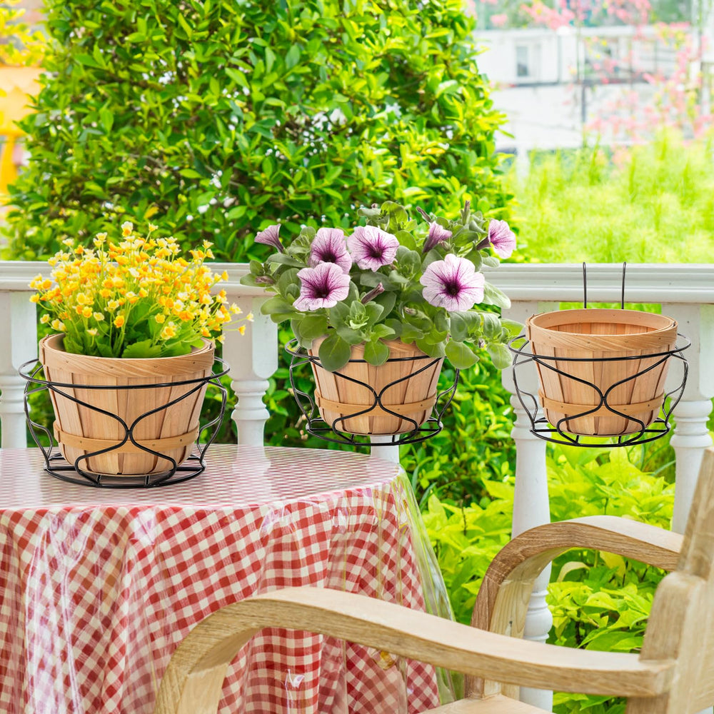 Noamus planter holding a potted flower demonstrating tidy presentation and protection for plants