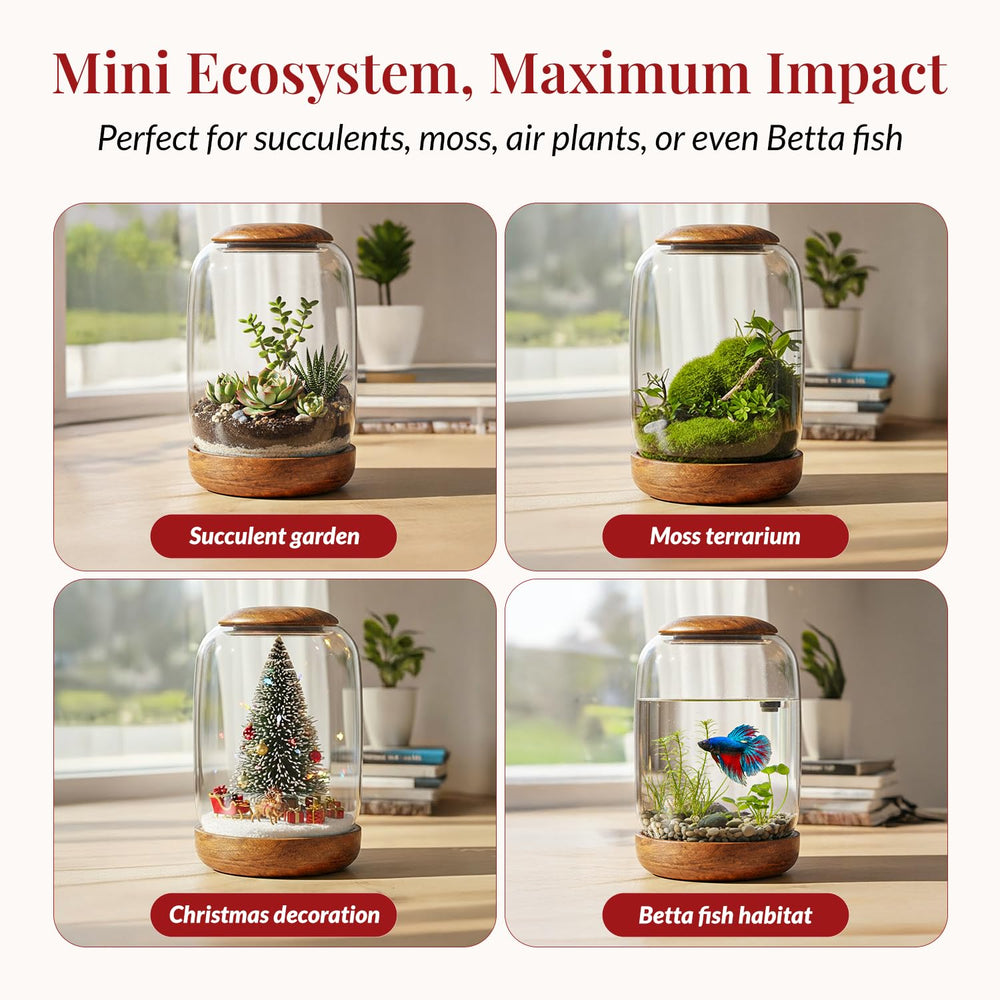 NoctisCorvus closeup of glass clarity highlighting recyclable material and crisp visibility