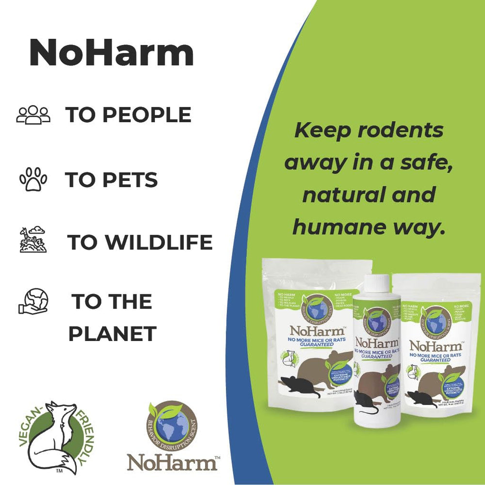 Granules placed near a shed entry demonstrating NoHarm protection for outdoor outbuildings