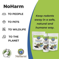 Granules placed near a shed entry demonstrating NoHarm protection for outdoor outbuildings