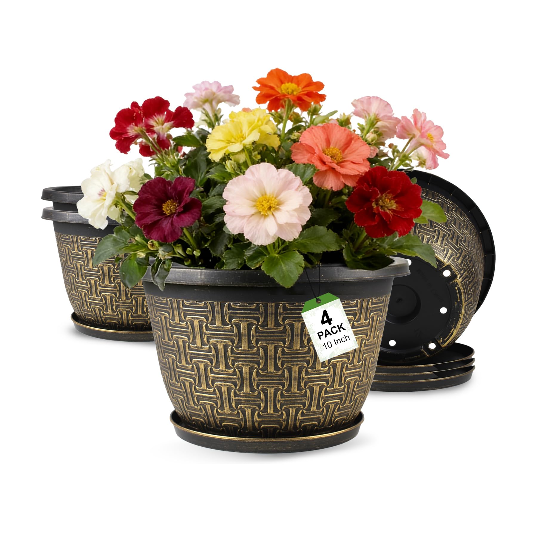Nooulap front view showing four matching pots and saucers, neat display benefit