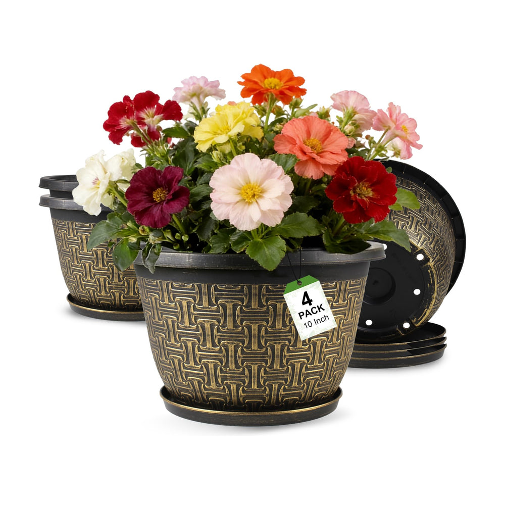 Nooulap front view showing four matching pots and saucers, neat display benefit
