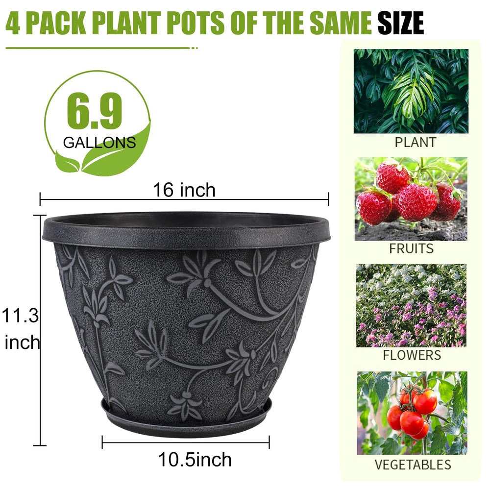 Nooulap four-pack arranged together conveying coordinated styling advantage