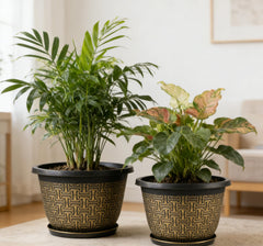 Nooulap pots on a patio with plants, weather-resistant outdoor styling benefit