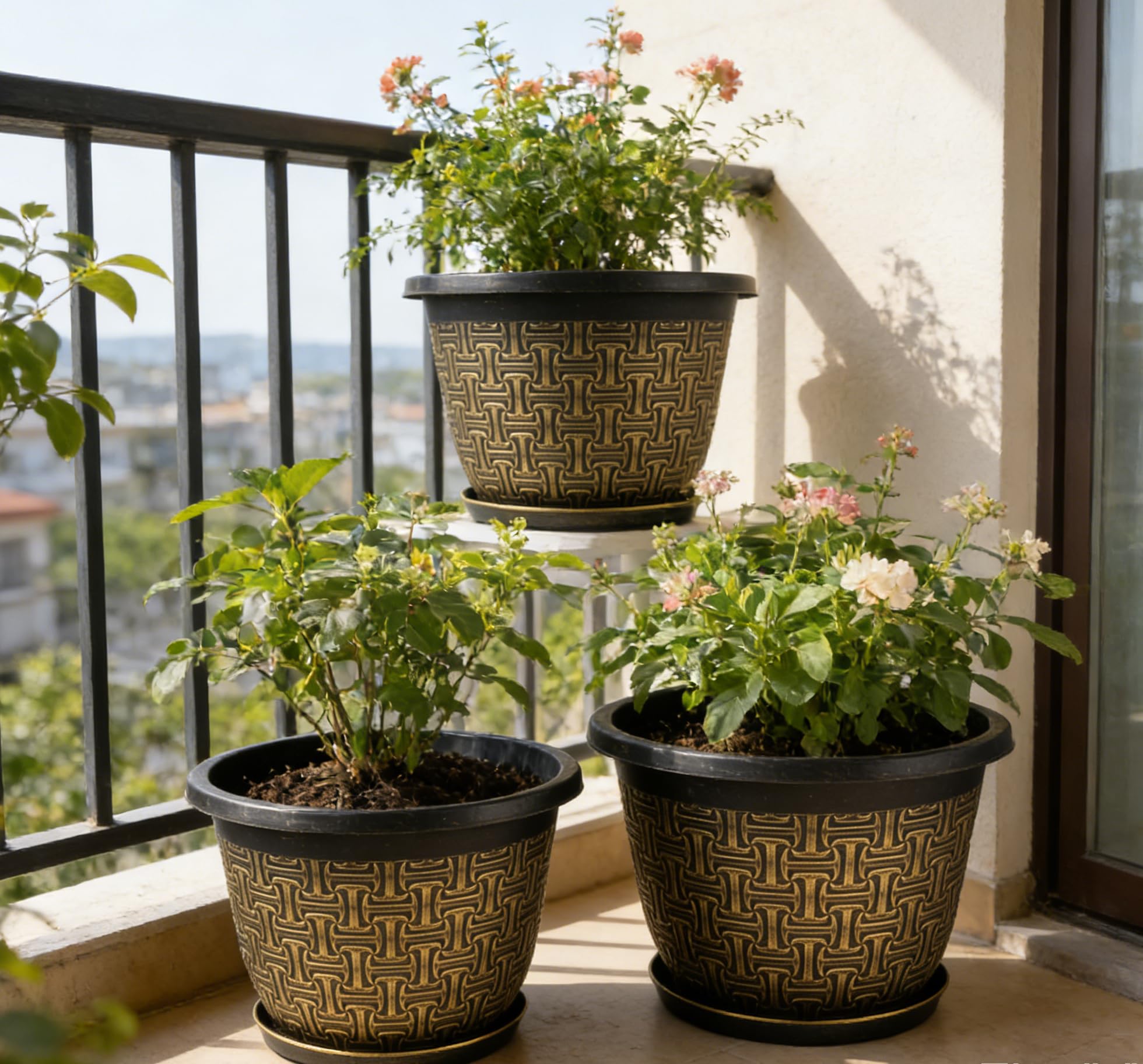 Nooulap filled with succulents and herbs, attractive mixed-planter benefit