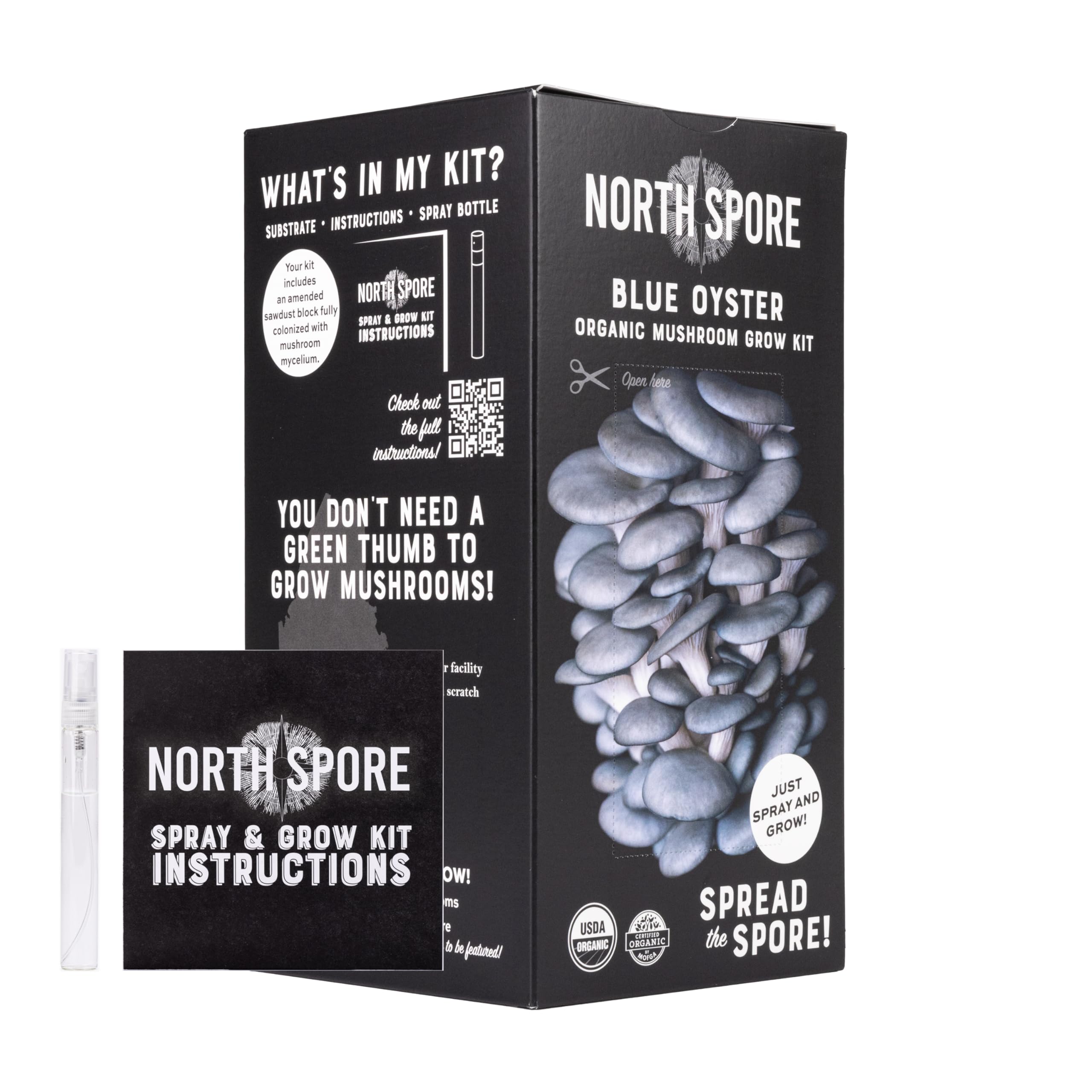 North Spore hongos cultivados en plato sobre mesa, inspirando recetas caseras