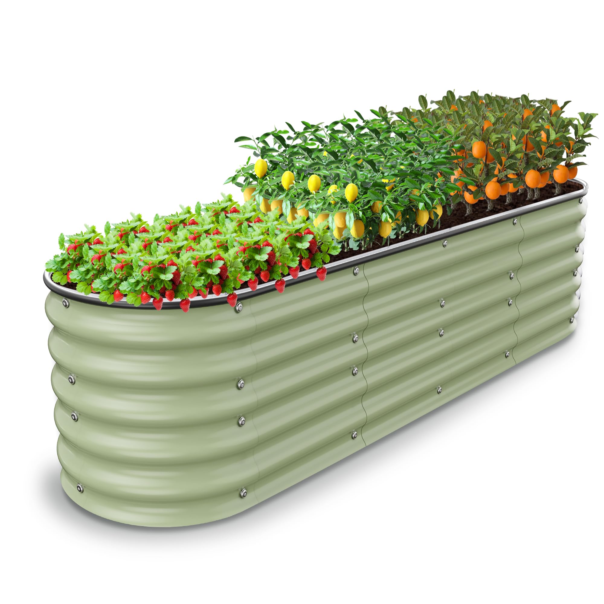 Nossta front view of oval raised bed showing stable structure and curb appeal