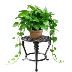 Notakia front view plant stand showing stable design and vintage look