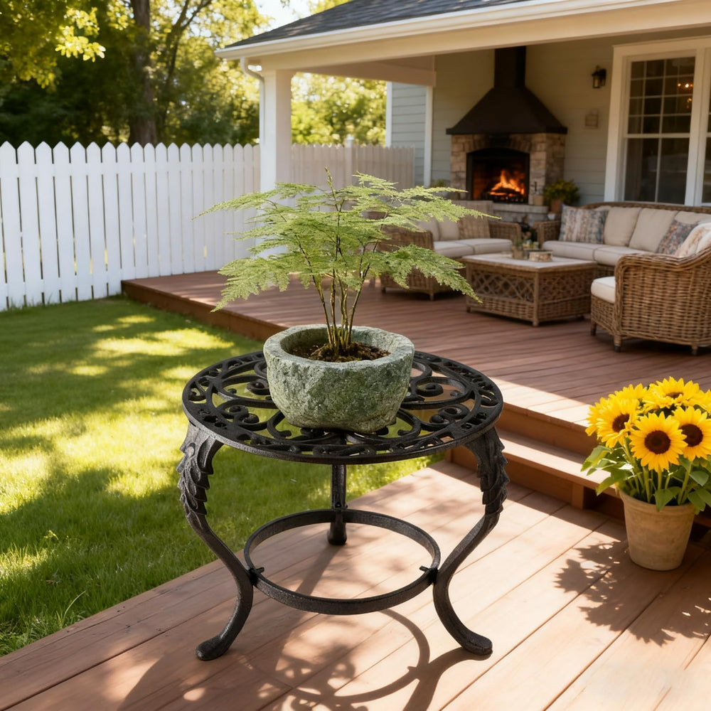 Notakia in living room with potted plant adding decorative elevation