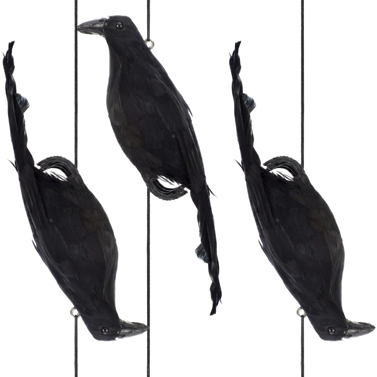 Novabright front view of three crows showing pack contents and outdoor use benefit