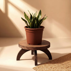 Novabright front view of two round wood stands showing stable support