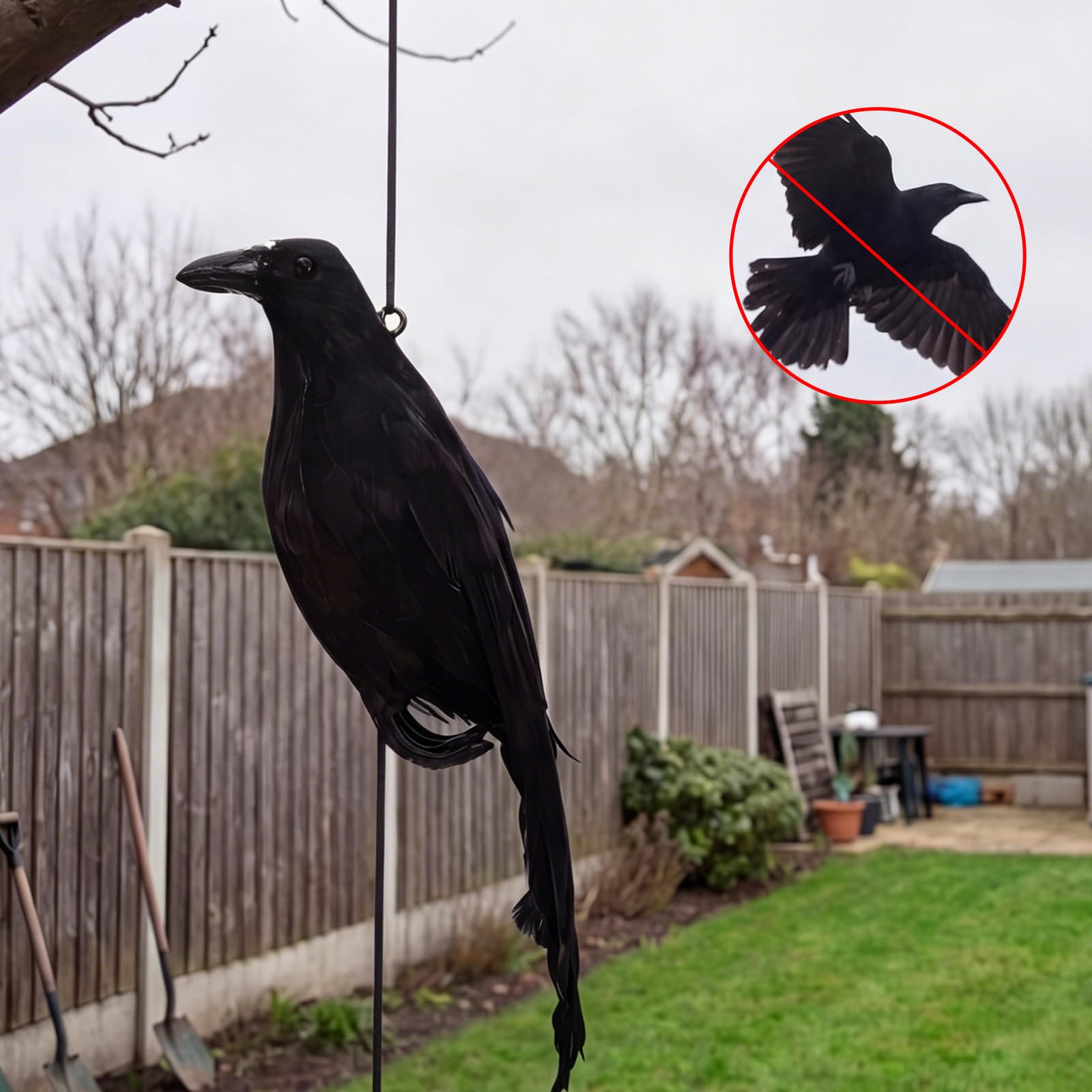 Novabright crow held by hand to show 15-inch scale and size clarity benefit