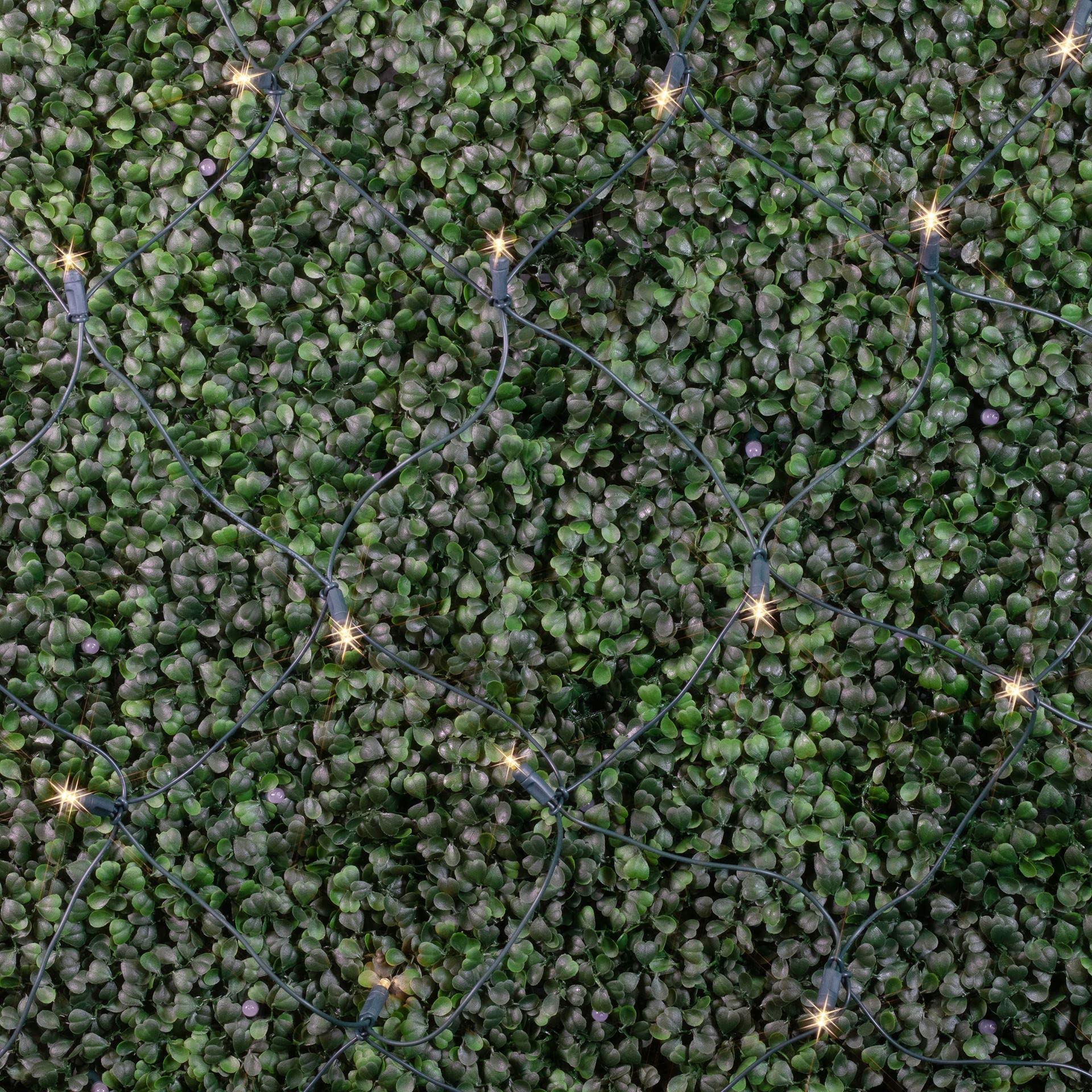 Novelty Lights net draped over a garden hedge showing even coverage and an instant holiday look