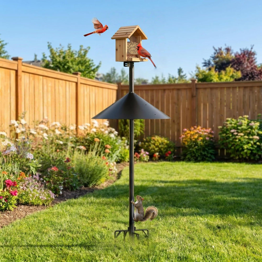 NSYOOMH backyard feeding station with birds benefiting from stable mount