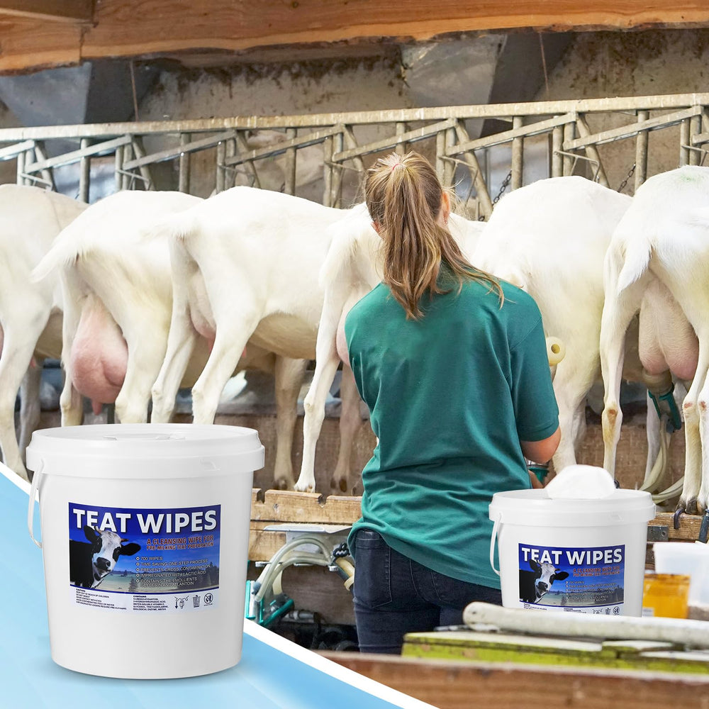 Nuanchu wipes on barn shelf near milking station showing convenient farm-ready benefit