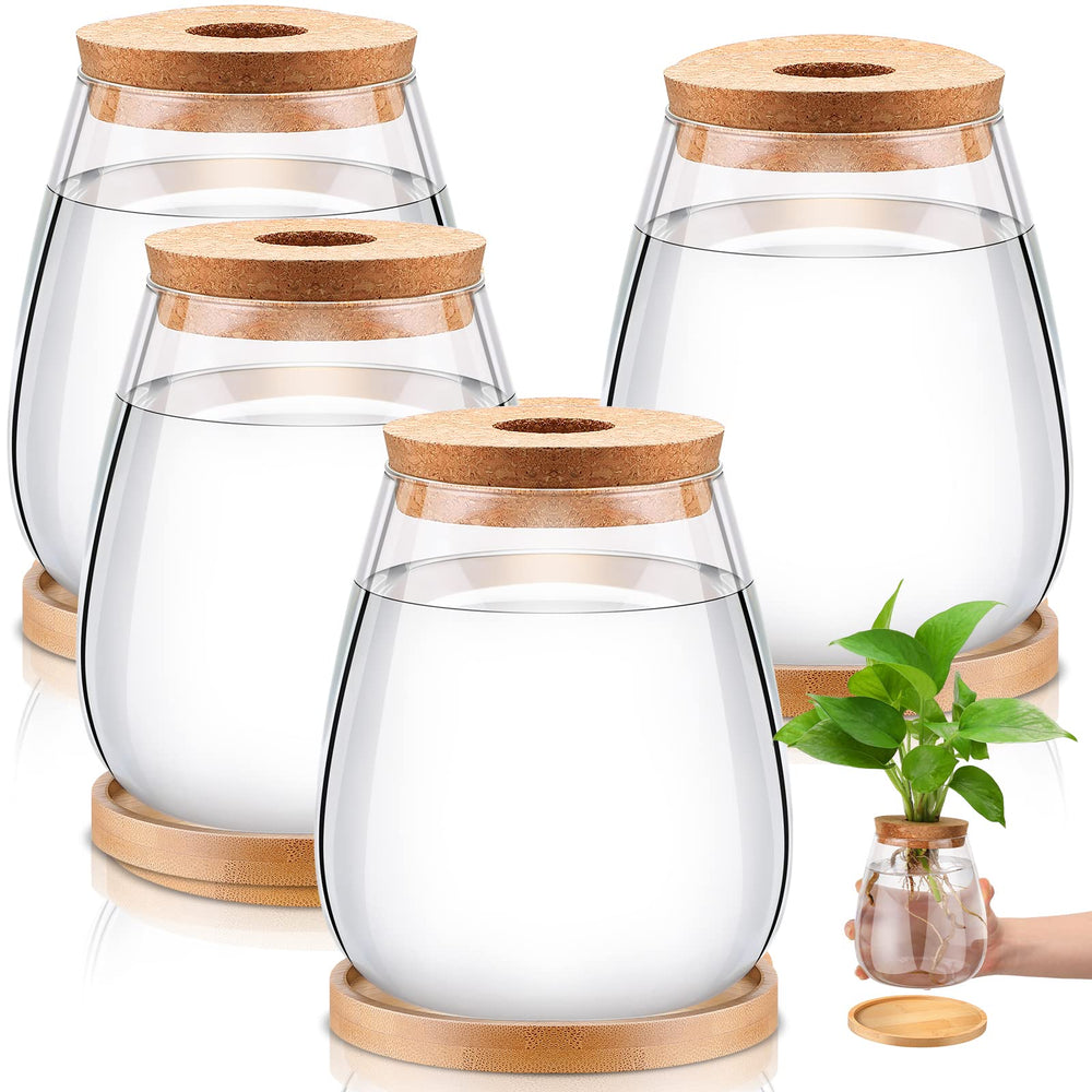 Nuanchu front view showing all four glass jars and wooden stands for easy propagation