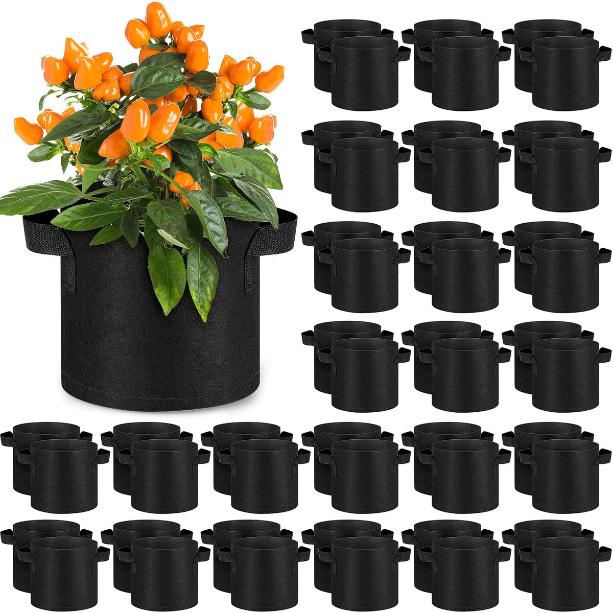 nuanchu front view 60-pack showing multiple grow bags and bulk quantity benefit